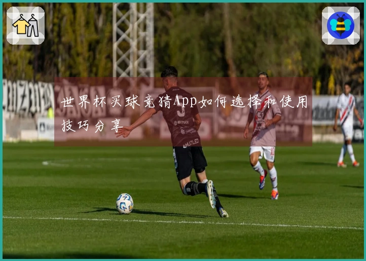 世界杯买球竞猜App如何选择和使用技巧分享