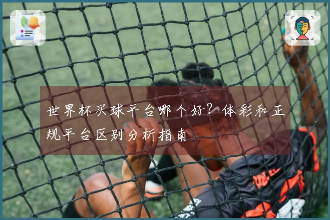 世界杯买球平台哪个好?体彩和正规平台区别分析指南