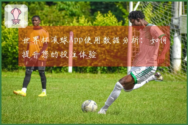 世界杯滚球App使用数据分析：如何提升您的投注体验