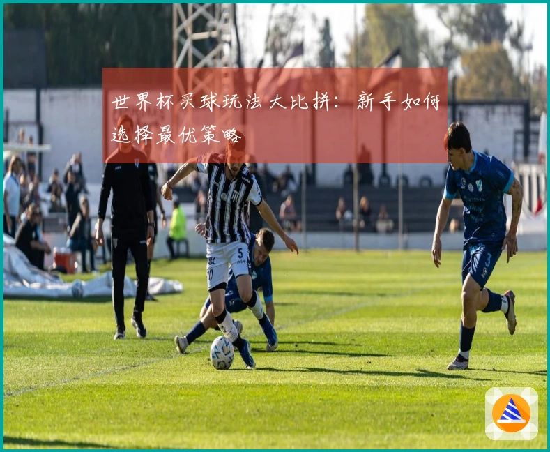 世界杯买球玩法大比拼：新手如何选择最优策略