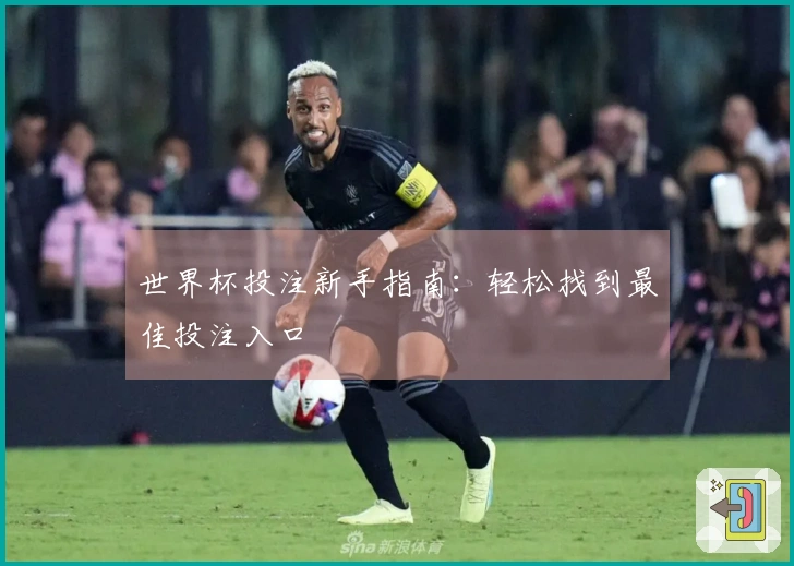 世界杯投注新手指南：轻松找到最佳投注入口