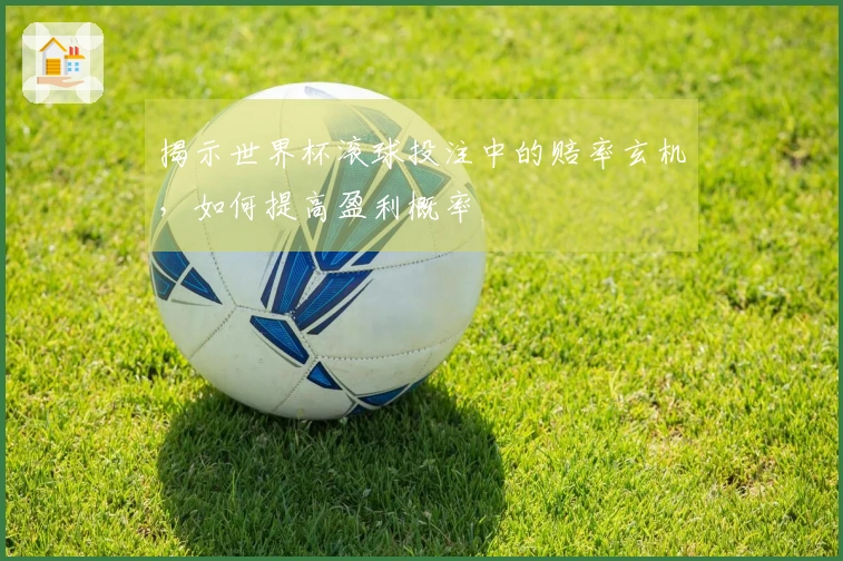 揭示世界杯滚球投注中的赔率玄机，如何提高盈利概率