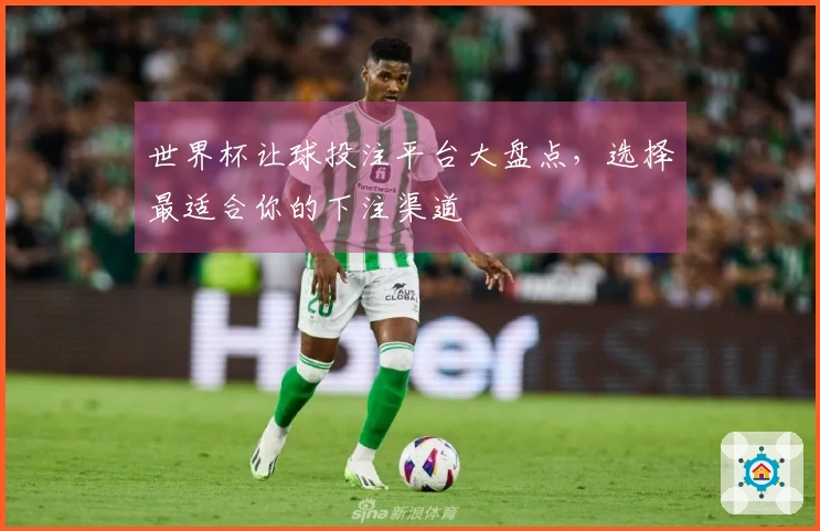 世界杯让球投注平台大盘点，选择最适合你的下注渠道