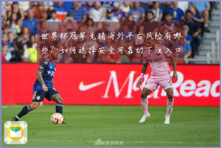 世界杯冠军竞猜海外平台风险有哪些？如何选择安全可靠的下注入口？