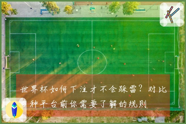 世界杯如何下注才不会踩雷？对比多种平台前你需要了解的规则