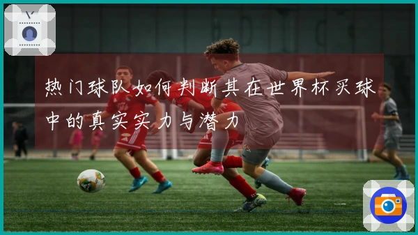 热门球队如何判断其在世界杯买球中的真实实力与潜力