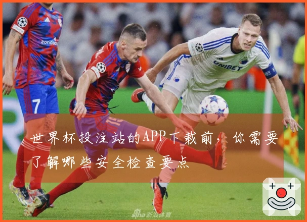 世界杯投注站的APP下载前，你需要了解哪些安全检查要点