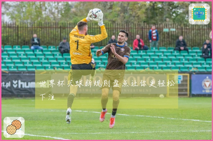世界杯买球新规则盘点让你更轻松下注