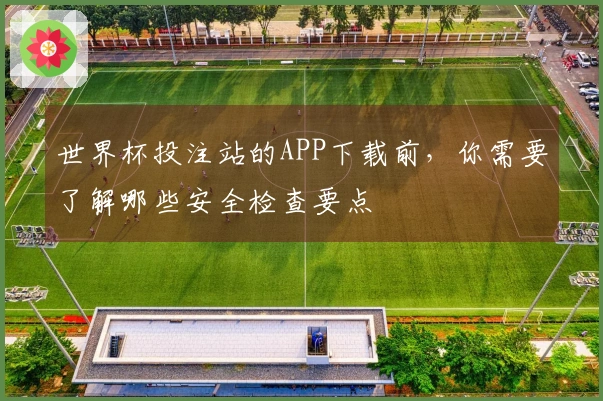 世界杯投注站的APP下载前，你需要了解哪些安全检查要点