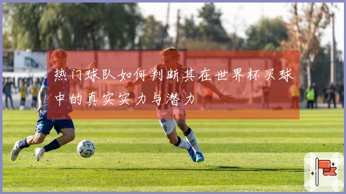 热门球队如何判断其在世界杯买球中的真实实力与潜力