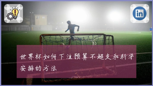 世界杯如何下注预算不超支和科学安排的方法