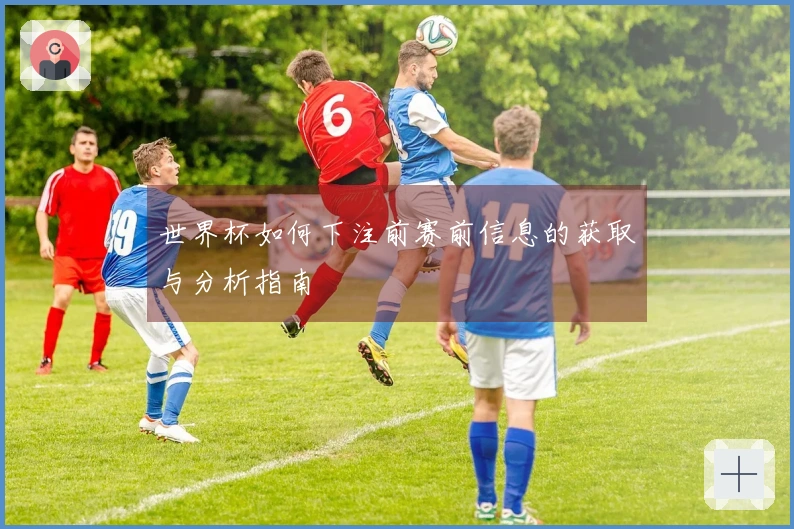 世界杯如何下注前赛前信息的获取与分析指南