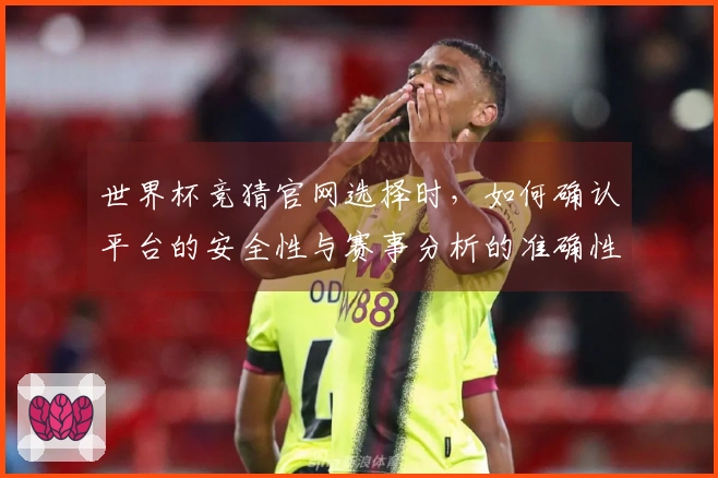 世界杯竞猜官网选择时，如何确认平台的安全性与赛事分析的准确性？