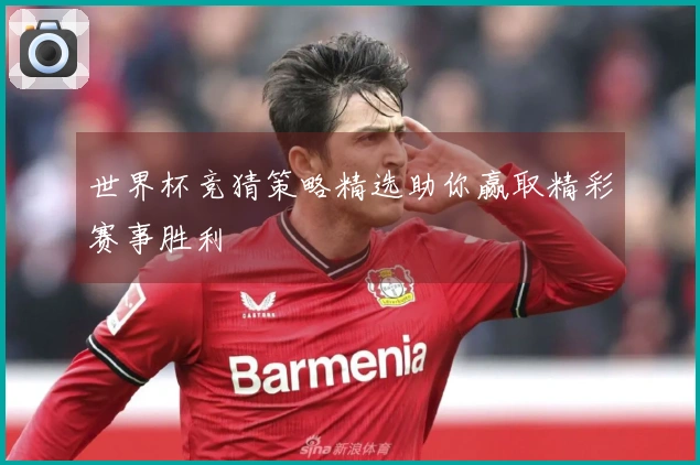 世界杯竞猜策略精选助你赢取精彩赛事胜利