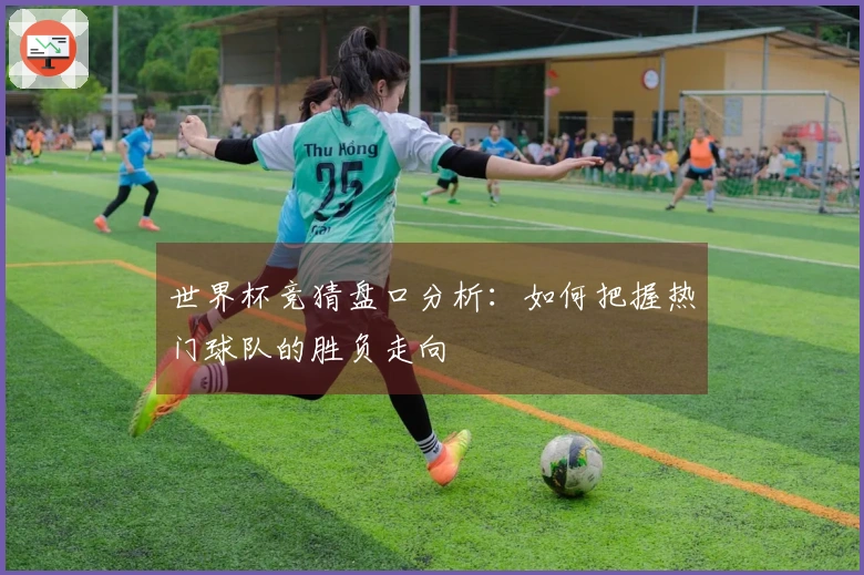 世界杯竞猜盘口分析：如何把握热门球队的胜负走向