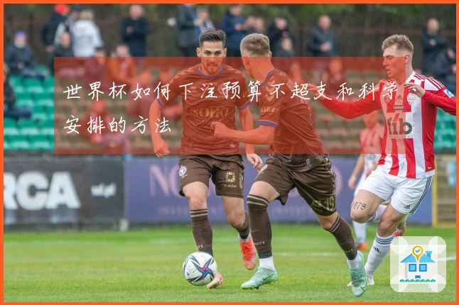 世界杯如何下注预算不超支和科学安排的方法