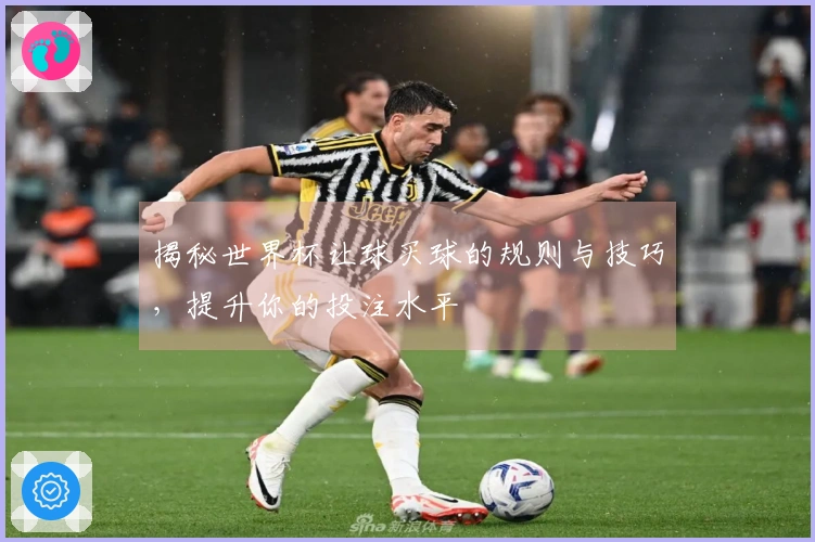 揭秘世界杯让球买球的规则与技巧，提升你的投注水平