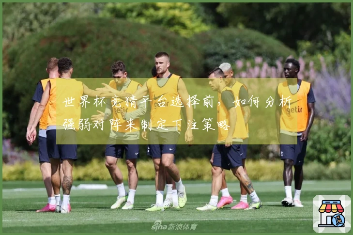 世界杯竞猜平台选择前，如何分析强弱对阵来制定下注策略