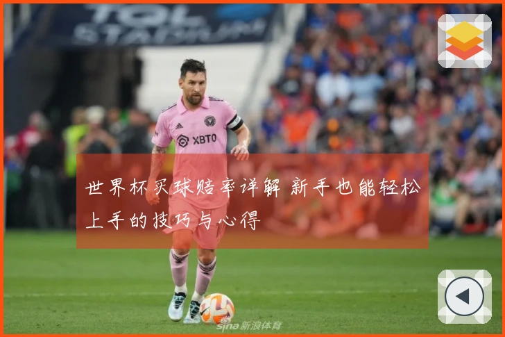 世界杯买球赔率详解 新手也能轻松上手的技巧与心得