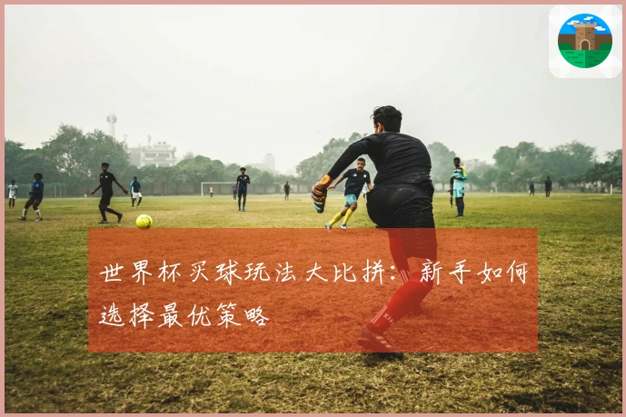 世界杯买球玩法大比拼：新手如何选择最优策略