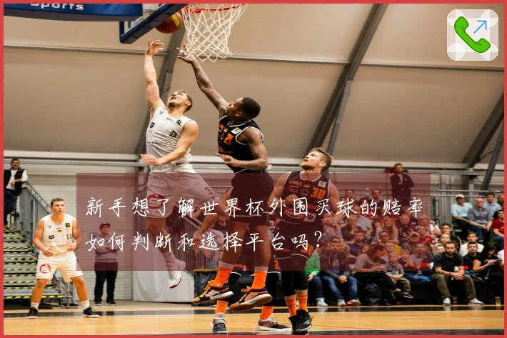 新手想了解世界杯外围买球的赔率如何判断和选择平台吗？