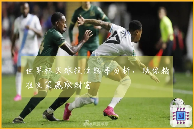 世界杯买球投注赔率分析，助你精准决策赢取财富