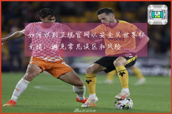 如何识别正规官网以安全买世界杯竞猜，避免常见误区和风险