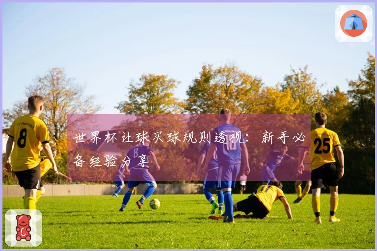世界杯让球买球规则透视：新手必备经验分享