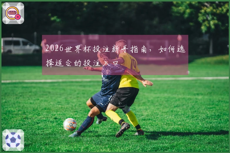 2026世界杯投注新手指南，如何选择适合的投注入口