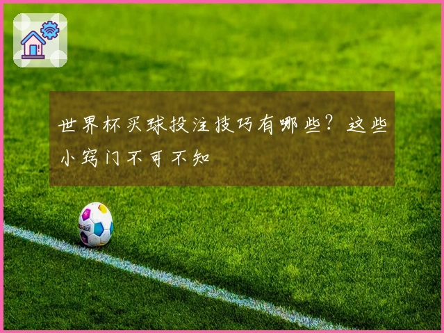 世界杯买球投注技巧有哪些？这些小窍门不可不知