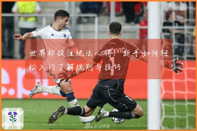 世界杯投注玩法心得：新手如何轻松入门了解规则与技巧