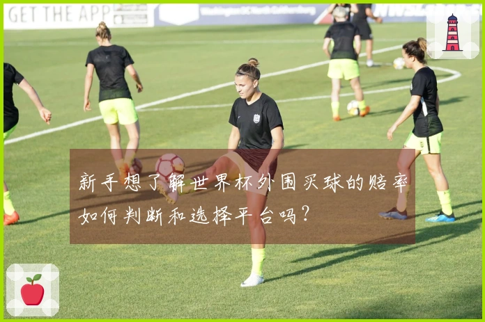 新手想了解世界杯外围买球的赔率如何判断和选择平台吗？