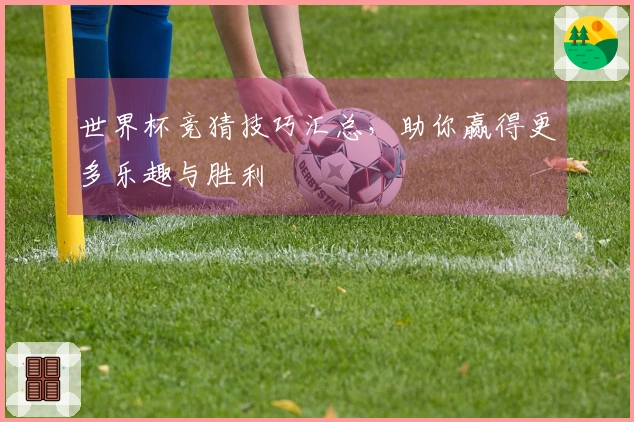 世界杯竞猜技巧汇总，助你赢得更多乐趣与胜利