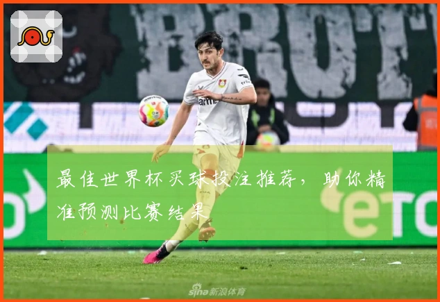 最佳世界杯买球投注推荐，助你精准预测比赛结果