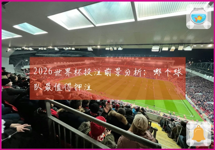 2026世界杯投注前景分析：哪个球队最值得押注