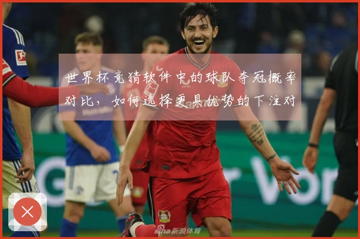 世界杯竞猜软件中的球队夺冠概率对比，如何选择更具优势的下注对象？