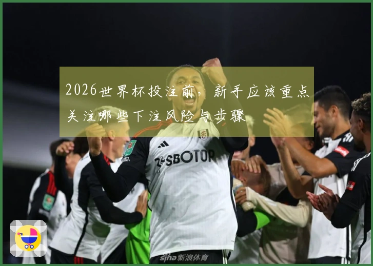 2026世界杯投注前，新手应该重点关注哪些下注风险与步骤