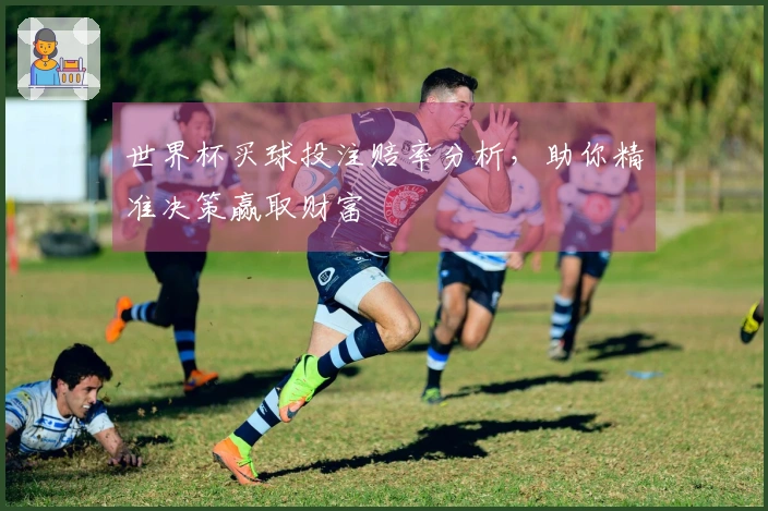 世界杯买球投注赔率分析，助你精准决策赢取财富