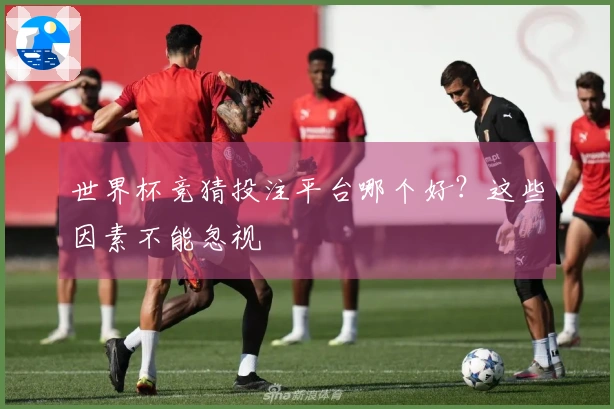 世界杯竞猜投注平台哪个好？这些因素不能忽视